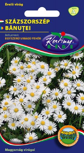 Százszorszép - fehér vetőmag - 0,25 g