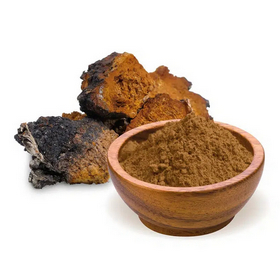 Hamvaskéreg - Chaga gomba - Inonotus obliquus